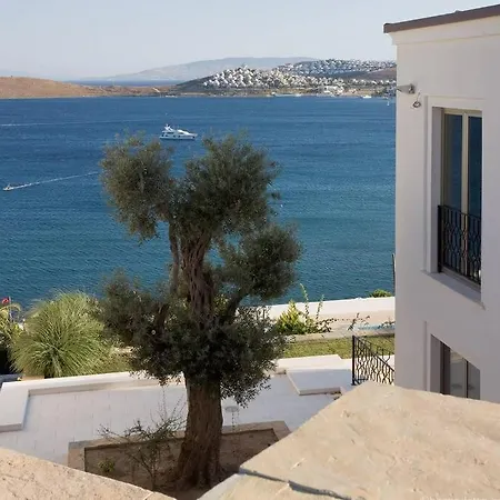 Vakantiehuis Stilvolle Moderne Mit Pool Und Meerblick. Bodrum