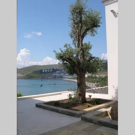 Stilvolle Moderne Mit Pool Und Meerblick.